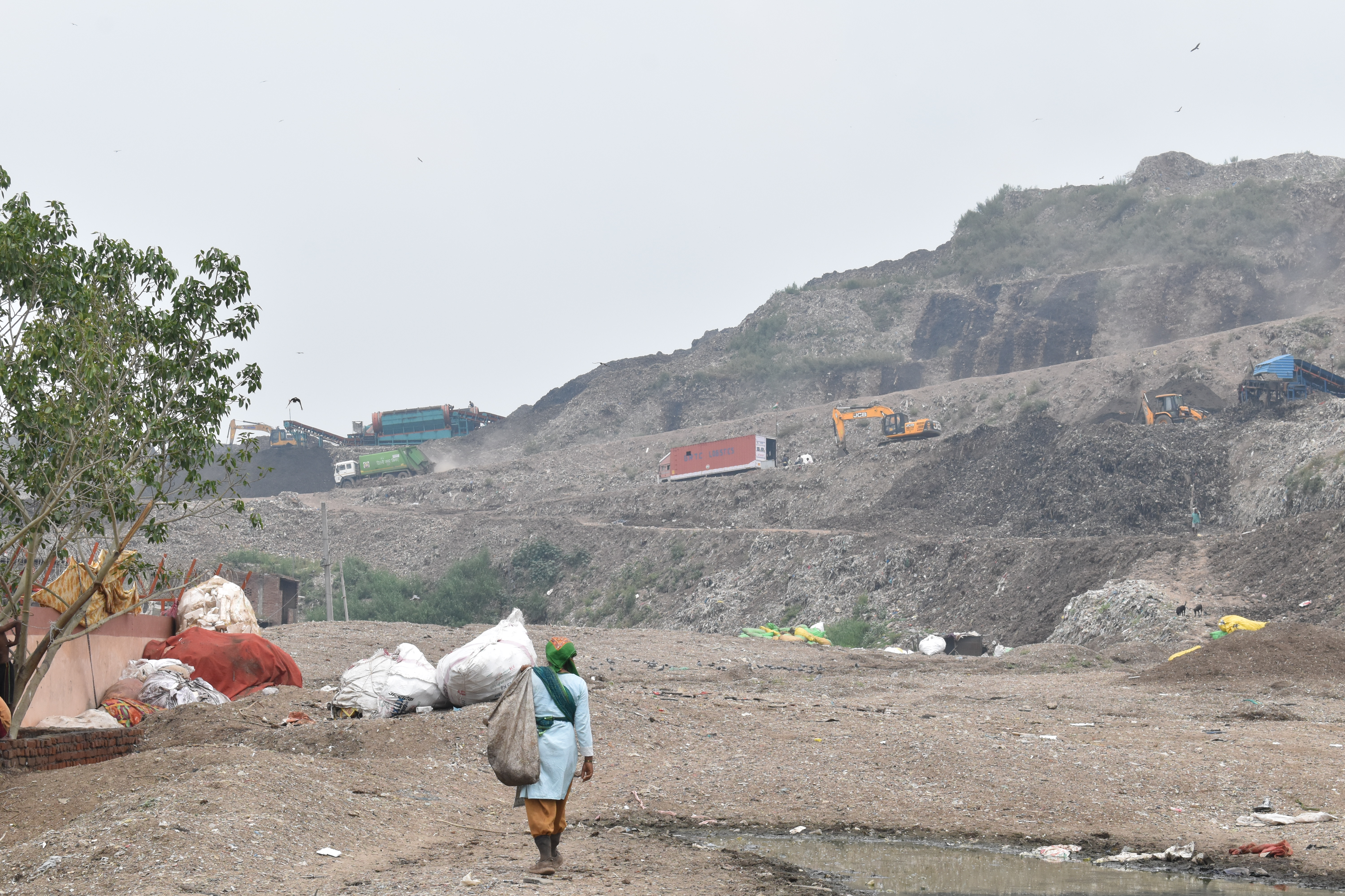 A waste worker walking towards the Ghazipur landfill, third round in a day looking for plastics to sell A waste worker walking towards the Ghazipur landfill, third round in a day looking for plastics to sell