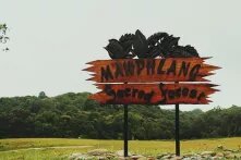 A shield, welcoming at Mawphlang Sacred Forest