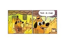 This is Fine