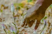 The Soliga - indigenous people in India