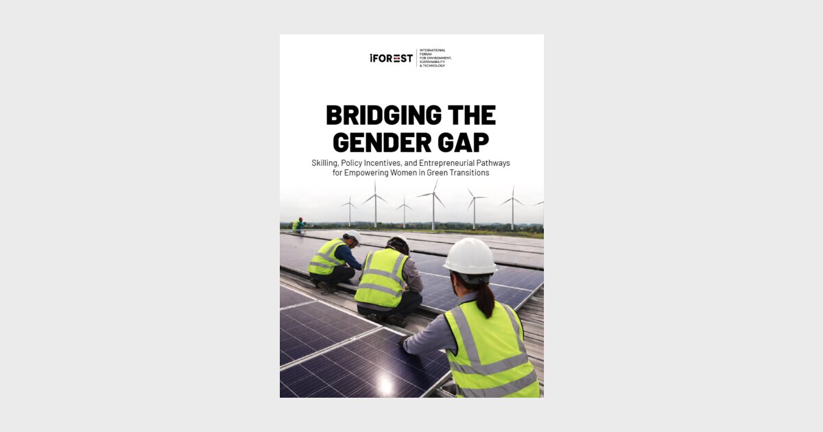 Bridging the Gender Gap | Heinrich Böll Stiftung | Regional Office New ...