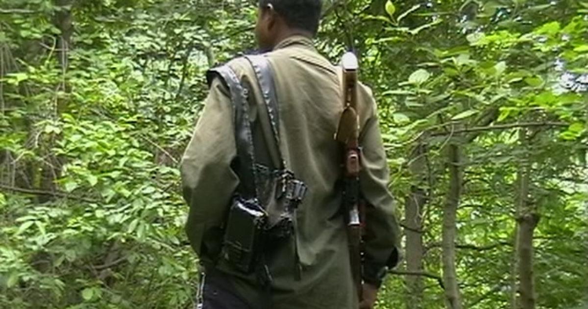 Essay on maoist picture