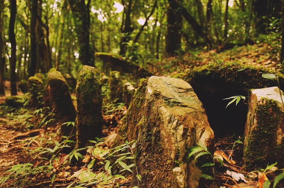 Inside the forest, monoliths are lining the way and marking a meeting point. Photo by Nena Seitz