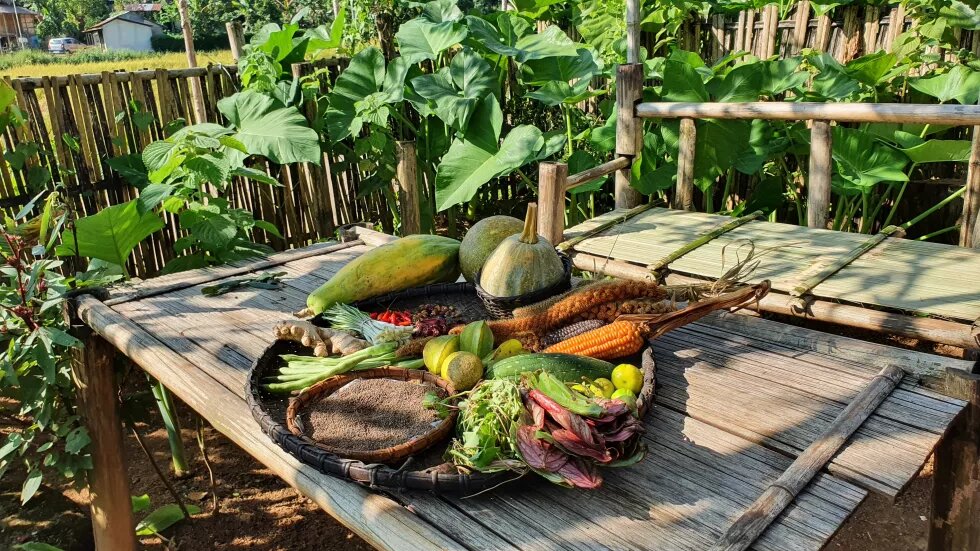 Agrobiodiversity