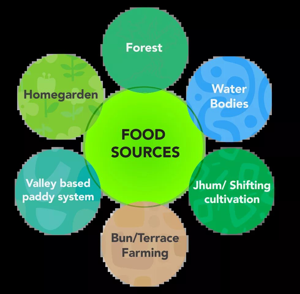 Food Sources in Meghalaya