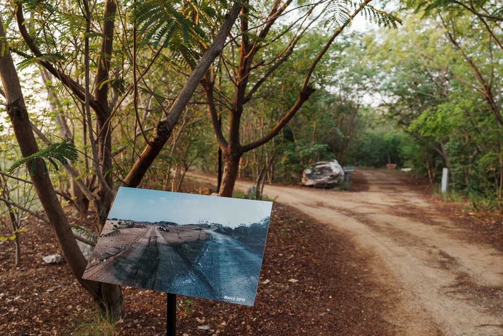 A restored ecological landscape in Rajapalayam, Tamil Nadu.