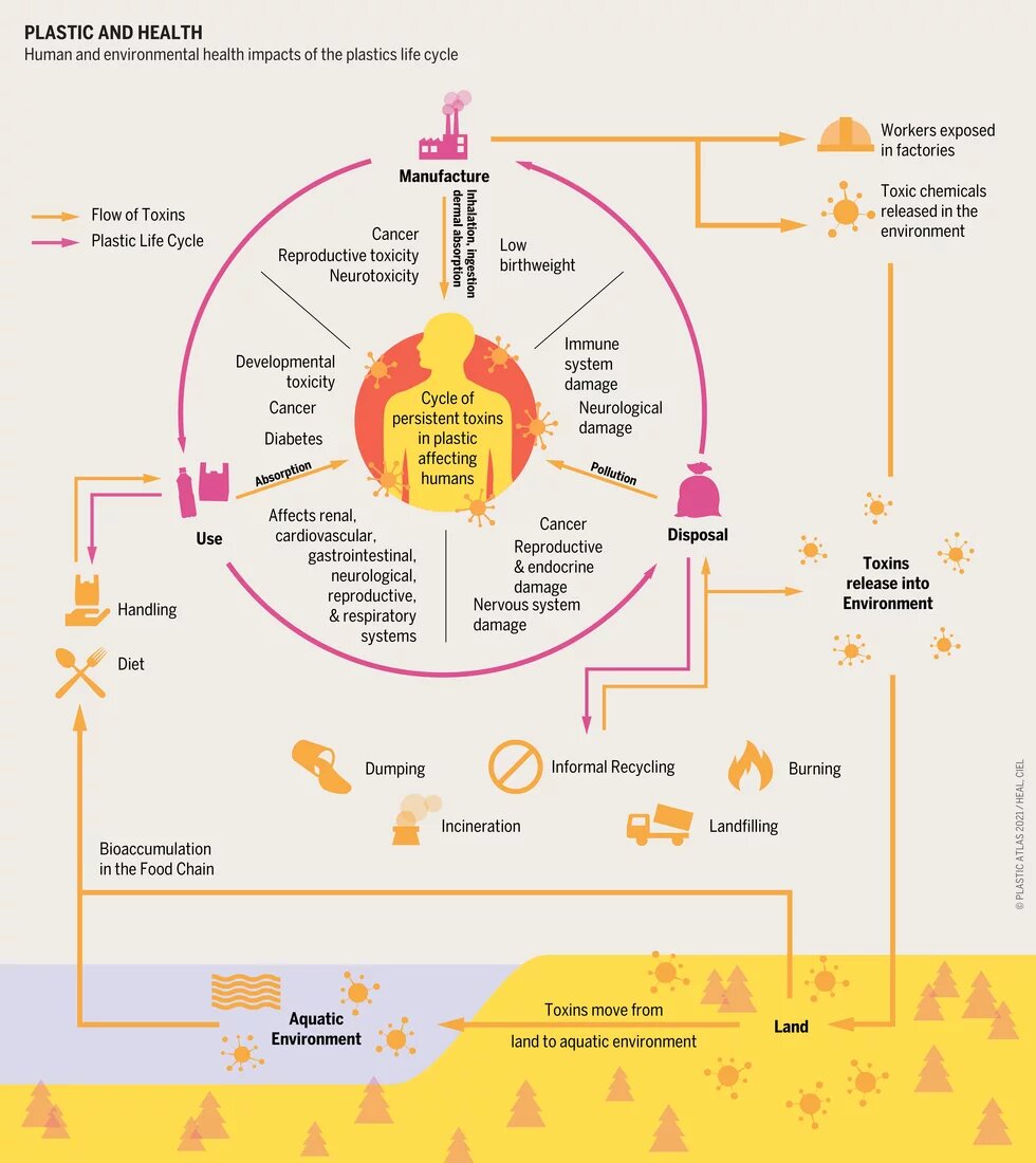 How plastic gets into our system
